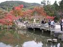 Maruyama koen * 600 x 450 * (60KB)